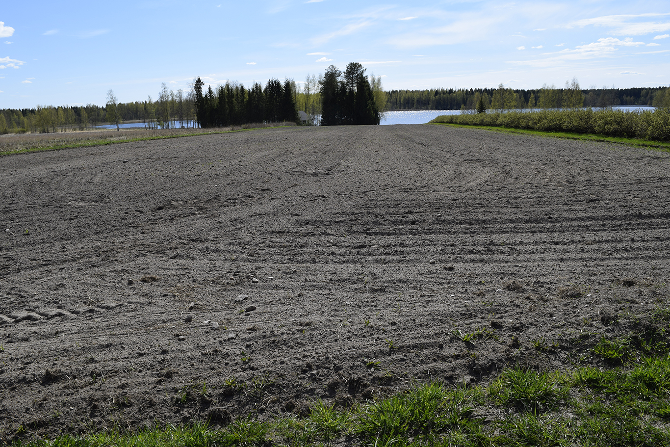 Polvijärven Sotkuman historiallisen ajan asuinpaikka. Asuinpaikka on ollut pellon laidalla, joka näkyy kuvassa.