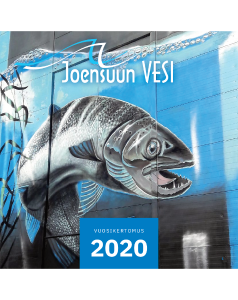 Vuosikertomus 2020.pdf